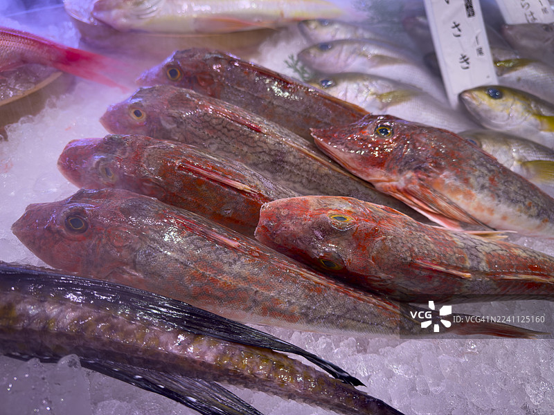 鱼市上冰鲜的红鲉鱼图片素材