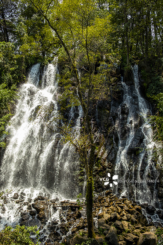垂直构图，阳光下的新娘面纱瀑布，四周环绕着绿色树木，位于巴耶德布拉沃。图片素材