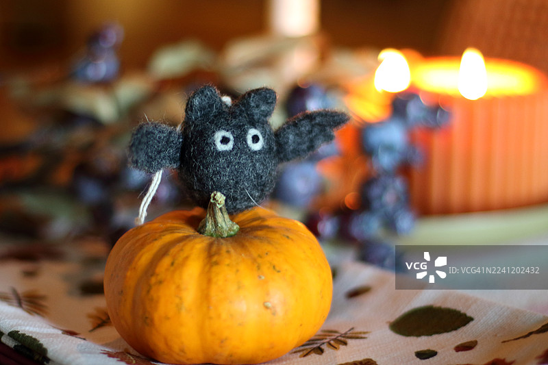 秋季装饰图片素材