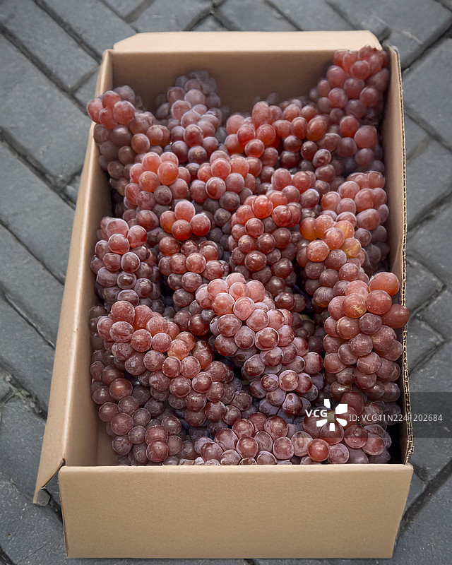 盒装无籽德拉瓦尔葡萄图片素材