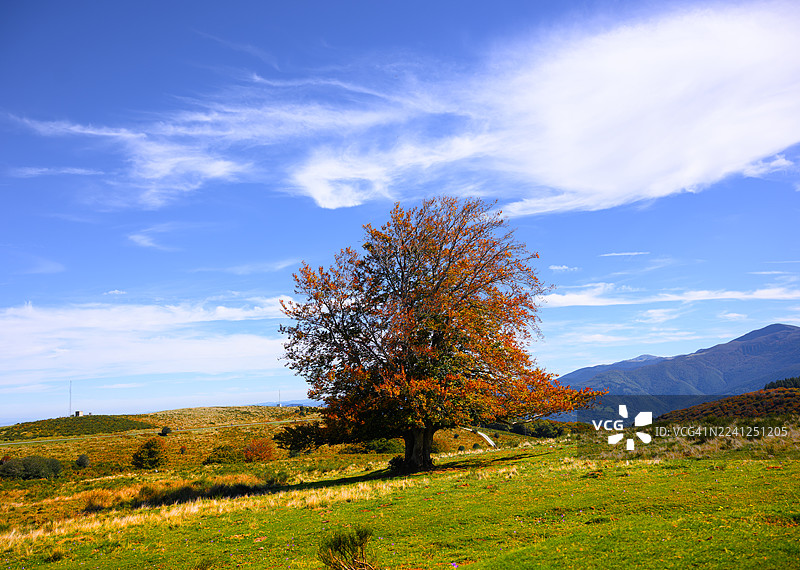 秋日高山色彩图片素材