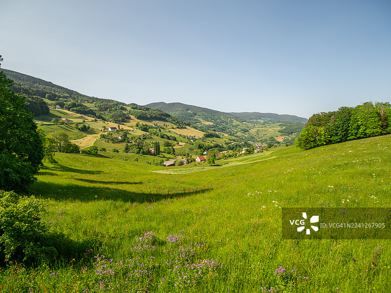 春季白天，法国阿尔萨斯省上莱茵省奥尔拜，孚日山脉田园诗般的山谷的广角景观，背景为多彩的花朵、牧场、农田、农场和山脊。图片素材
