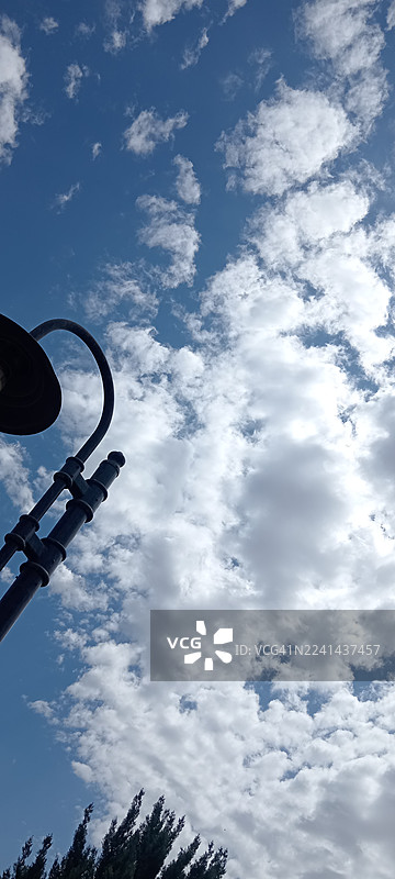 从低角度看，路灯的剪影在有零星树木的阴天蓝天背景下。图片素材