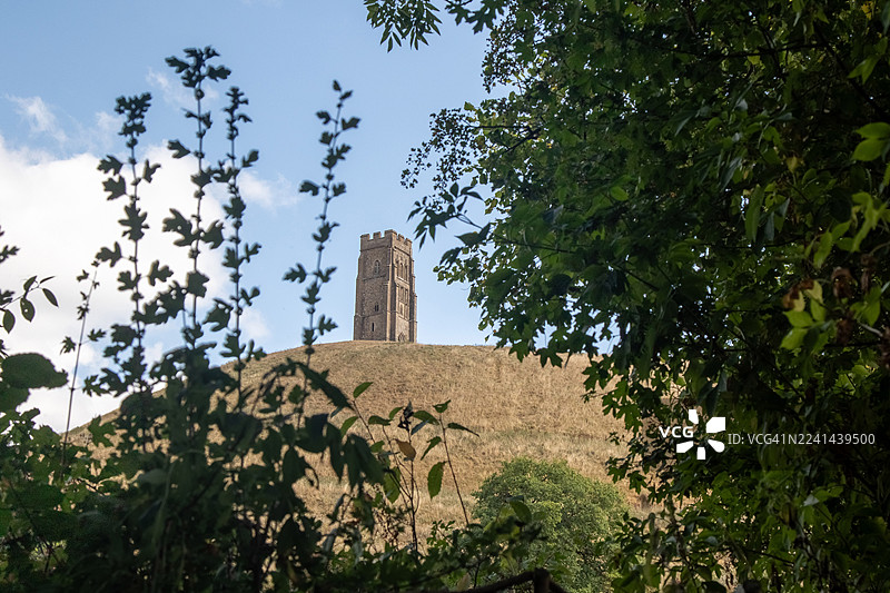 晴天，透过茂密的绿色植物远眺格拉斯顿伯里托尔和圣迈克尔塔，位于英格兰萨默塞特郡格拉斯顿伯里，英国图片素材