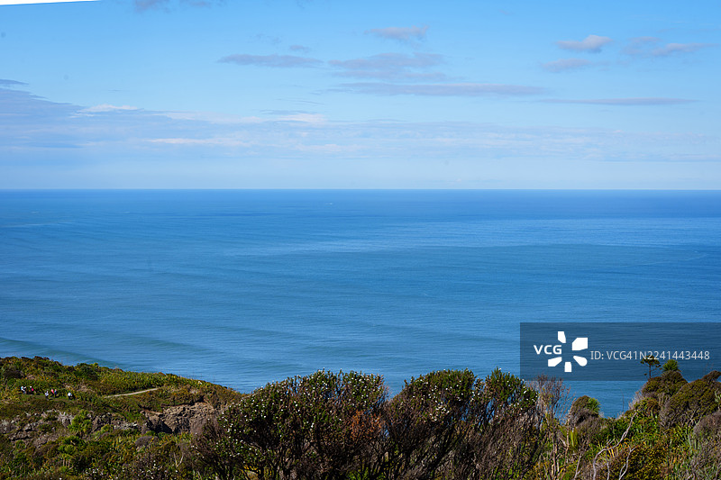 广阔的蓝色海洋在晴朗的天空下与地平线相接，前景是郁郁葱葱的绿色海岸植被，新西兰，环形步道图片素材