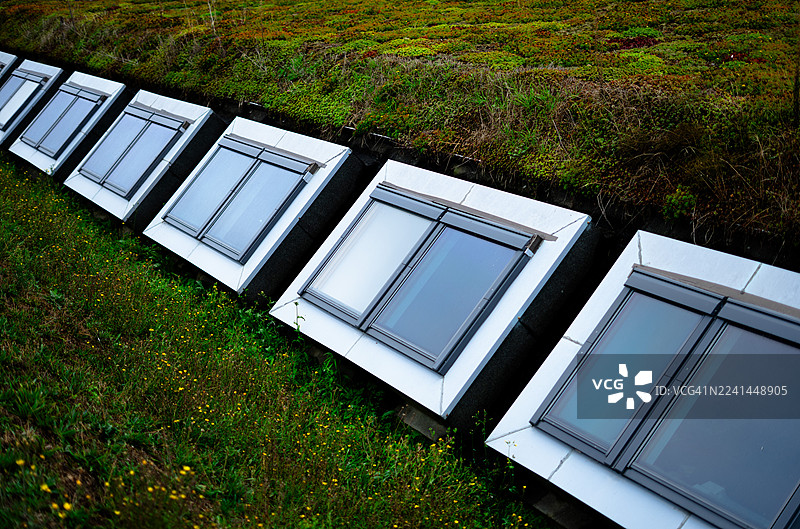 从高处看，嵌入在郁郁葱葱植被的绿色屋顶上的天窗，萨克雷，法国图片素材