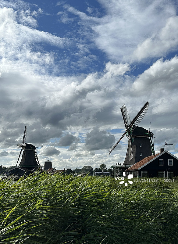 荷兰扎恩丹的卡尔弗林代克，传统风车在戏剧性的多云天空下巍然屹立图片素材