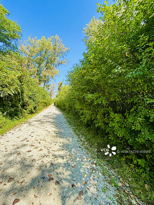 晴天时，碎石小路蜿蜒穿过郁郁葱葱的绿色植物，天空湛蓝。图片素材
