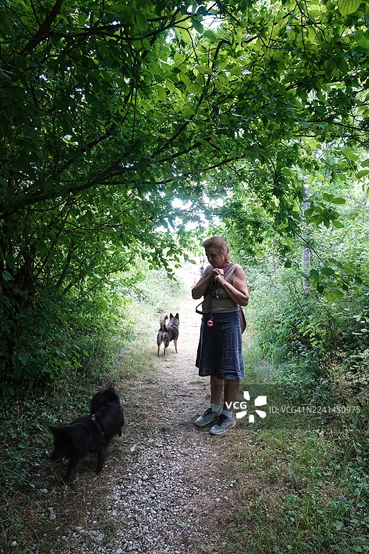 在西比利尼国家公园与狗狗共度假期图片素材