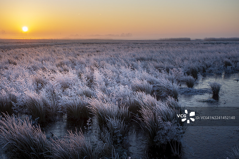 荷兰瓦赫宁根，霜冻的草地映衬着生机勃勃的日落天空，一处风景如画的冰封湖泊。图片素材