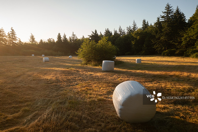 华盛顿州萨利希海地区岛屿上农田里的干草堆的鸟瞰图。图片素材