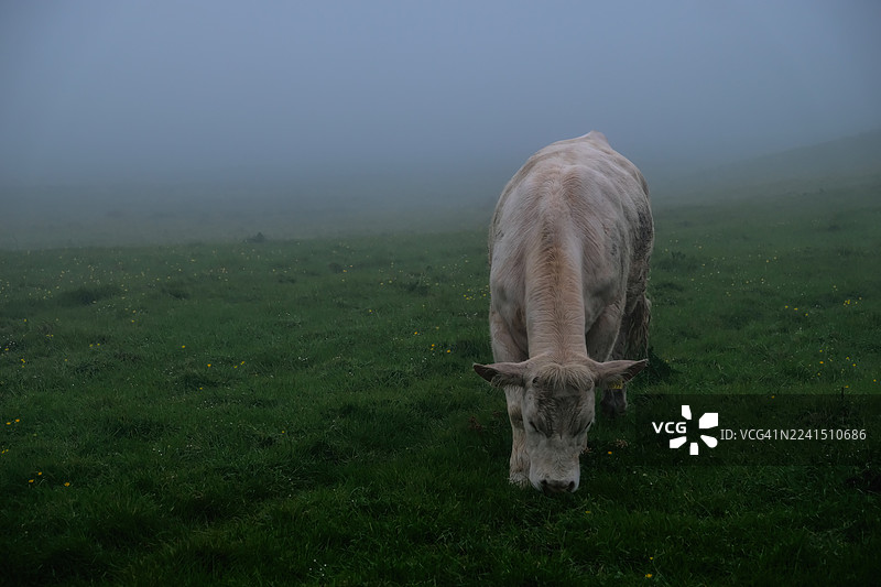 爱尔兰的美丽风景图片素材