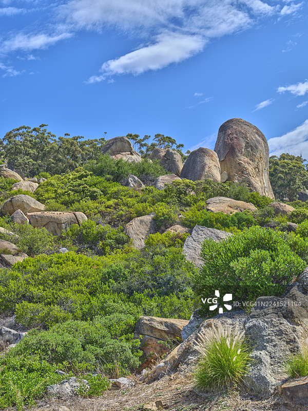 南非西开普省开普敦，岩石山坡景观，点缀着巨石和绿色灌木，天空湛蓝，是自然、旅行和户外探险场景的理想选择图片素材
