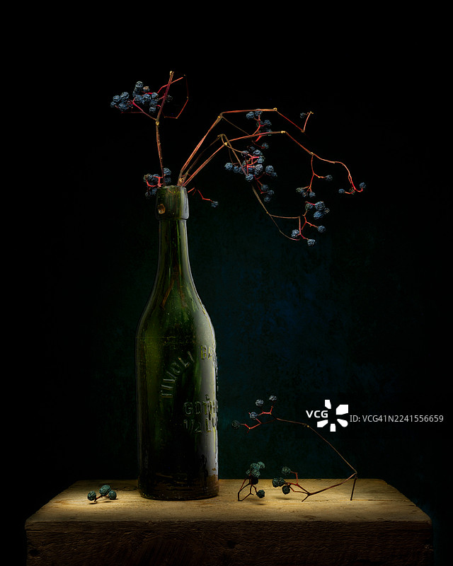 老啤酒瓶里的野葡萄藤野果静物照图片素材