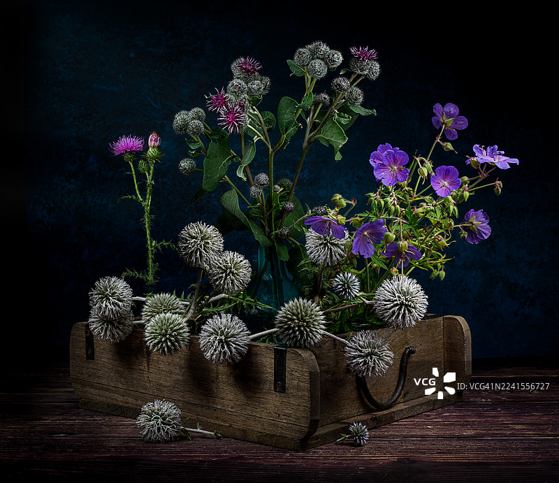 静物画，描绘蓟花图片素材