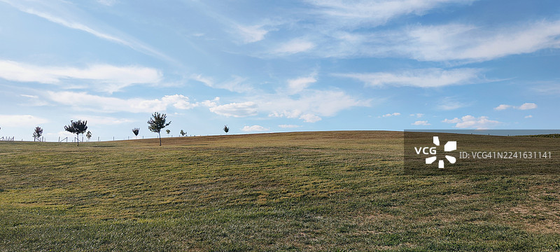 晴天，美国弗雷德里克县广阔的绿野，蓝天白云点缀其间，远处有小树。图片素材