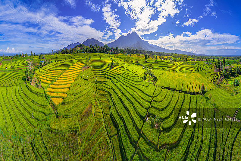 印度尼西亚，北苏门答腊省，本吉库鲁，蓝天白云下远山连绵，层叠的稻田和梯田生机勃勃，一派全景风光。图片素材