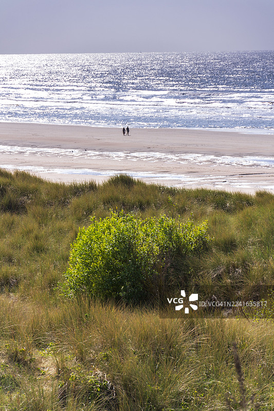 明媚的天空下，两个人沿着沙滩漫步，海面波光粼粼，沙丘上长满了青草，比利时德哈恩图片素材