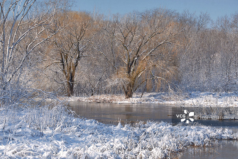 芝加哥，美国，美国，晴朗蓝天下，白雪皑皑的树木和部分结冰的湖泊组成的风景如画的冬季景观图片素材