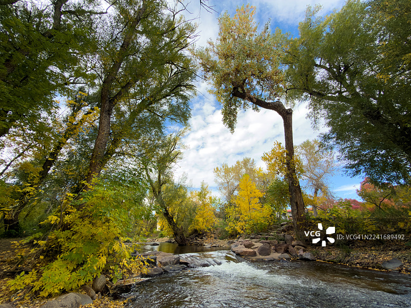 秋季森林中流淌的河流，周围是色彩斑斓的树木图片素材