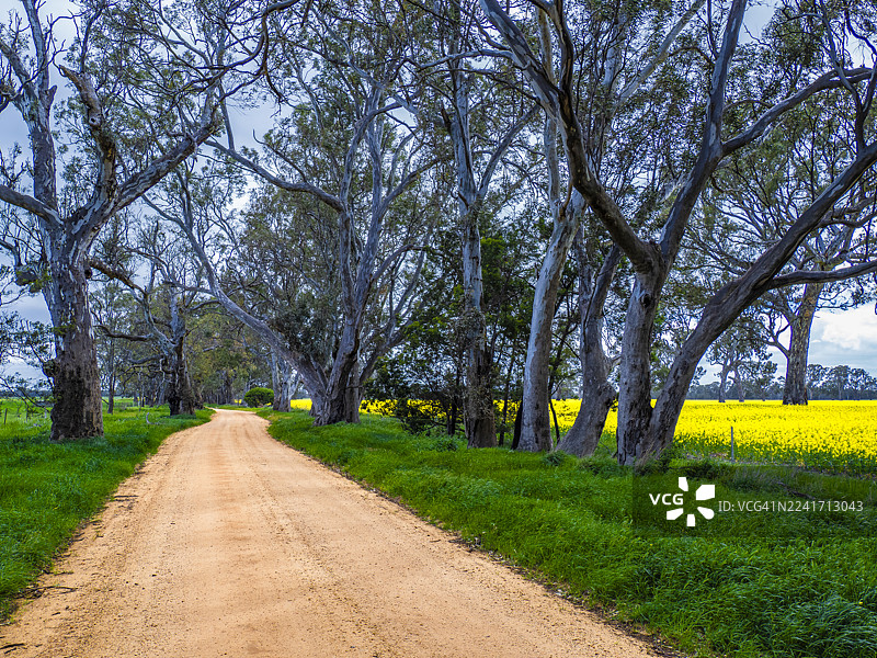 格兰皮恩斯，维多利亚西部地区图片素材