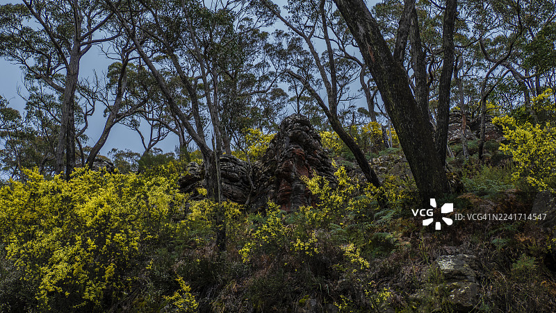 格兰坪，维多利亚州西部地区图片素材