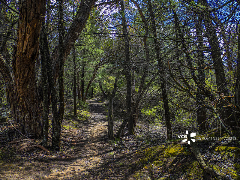 格兰皮恩斯，西部区，维多利亚州图片素材