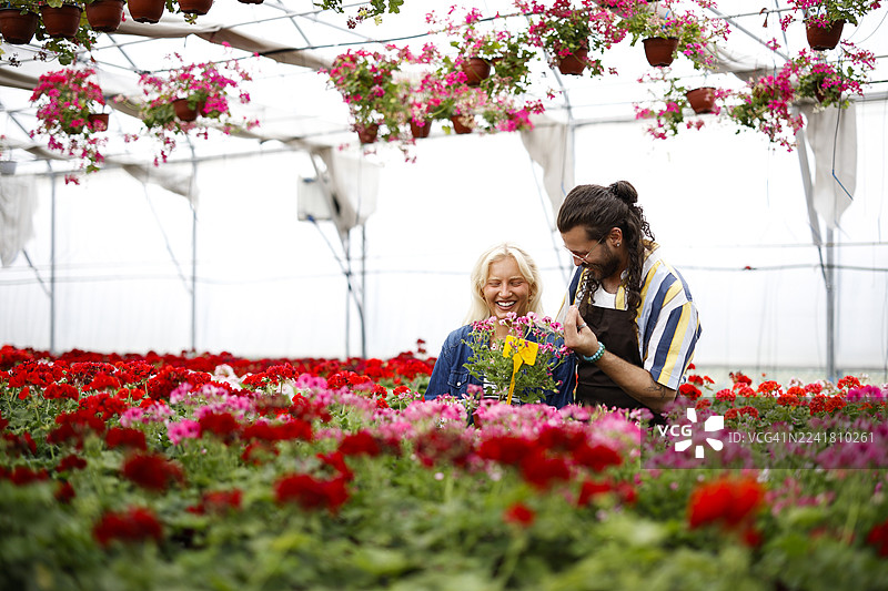 男人和女人在花卉苗圃里一起工作图片素材