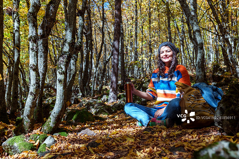 宁静的秋季森林休憩图片素材