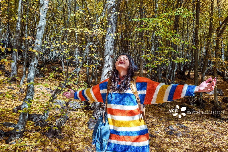 秋日森林奇遇图片素材