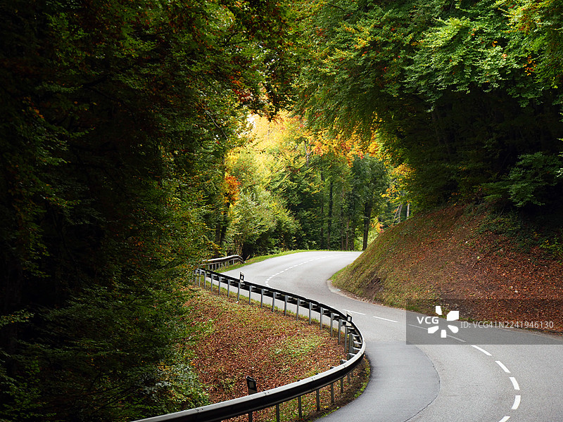 法国上萨瓦省埃维昂莱班，一条空旷的公路穿过一片森林。图片素材