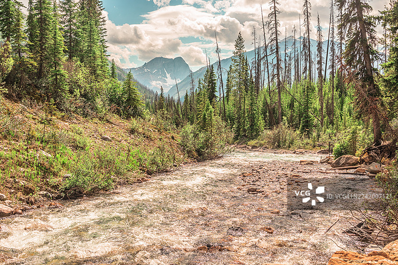 朱砂河穿过托库姆溪图片素材