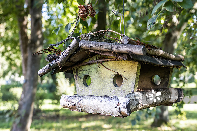 树上的鸟屋图片素材