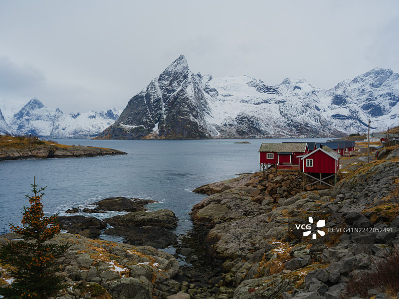 冬季洛福滕群岛风景如画的红色渔村图片素材