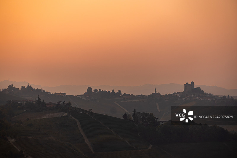 内比奥罗葡萄园在日出时的树叶 - 卡斯蒂廖内·法莱托图片素材