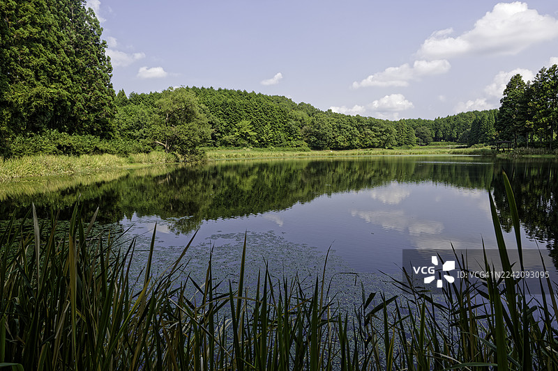 龙王渊风景图片素材