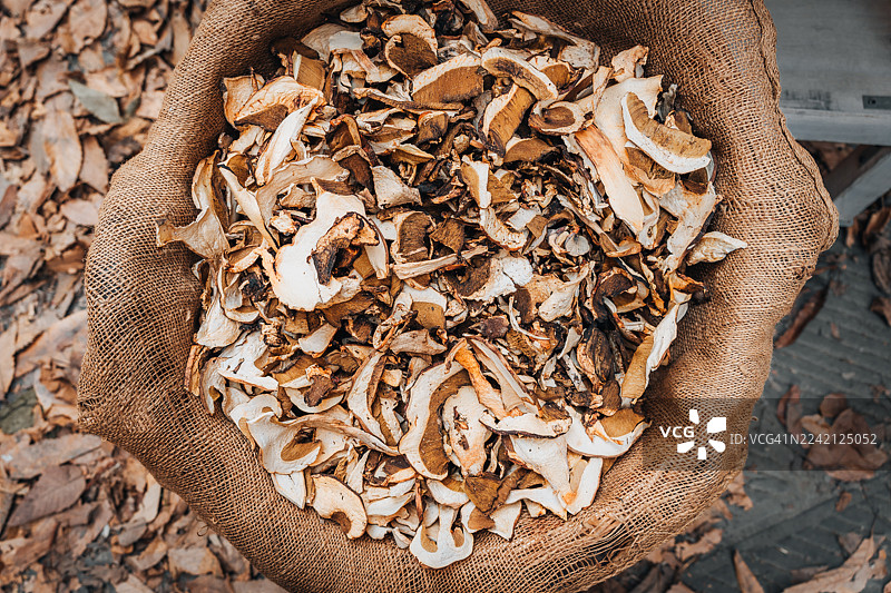 收割的干牛肝菌装在乡村风格的粗麻袋里图片素材