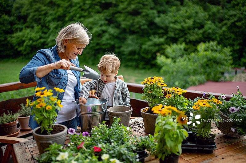 小男孩帮奶奶在花盆里种花图片素材