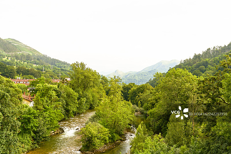 河流穿过绿色的森林和山脉图片素材