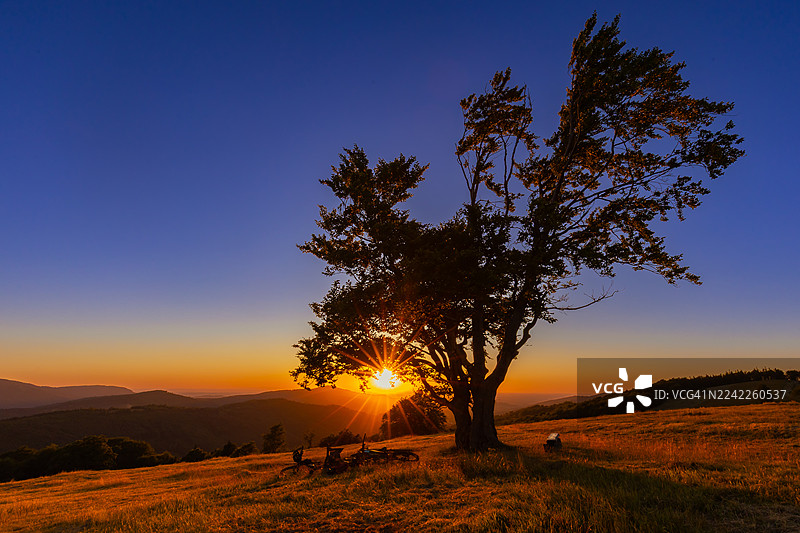波兰贝斯基德山脉希奇尔克金色日落，孤树和自行车剪影映衬天空图片素材
