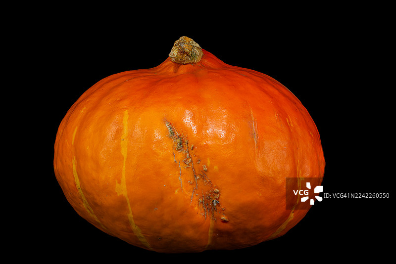 深色背景衬托下的鲜艳橙色南瓜图片素材