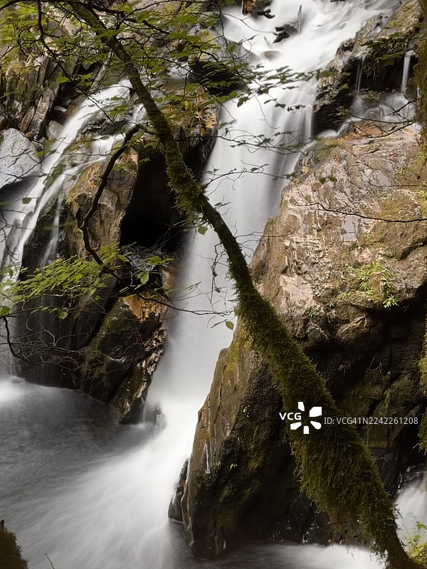 森林中，一张长曝光照片捕捉到了一处美丽的层叠瀑布，四周环绕着长满苔藓的岩石和茂密的绿色植被。图片素材