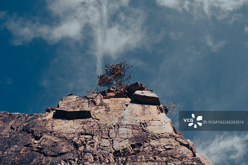 低角度拍摄，岩石嶙峋，一棵小树在戏剧性的蓝天白云下，法国，康塔尔图片素材