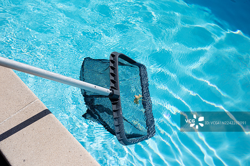 俯视视角，晴天用撇网清洁游泳池图片素材