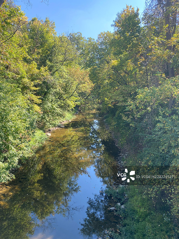 晴朗蓝天下，郁郁葱葱的绿树倒映在宁静的湖水中，美国罗阿诺克图片素材