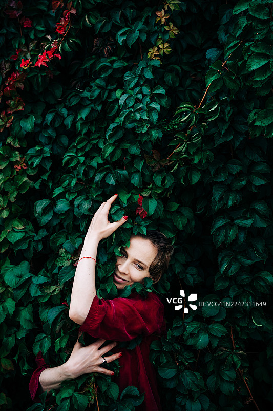 一位身穿深红色连衣裙的微笑女子，从郁郁葱葱的深绿色常春藤和鲜艳的红色叶子中探出头来。图片素材