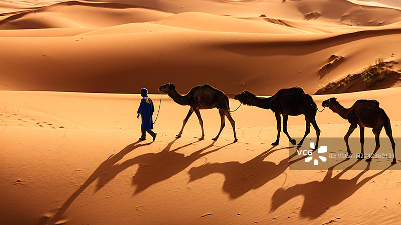 非洲西撒哈拉沙漠中的年轻图阿雷格族人与骆驼图片素材