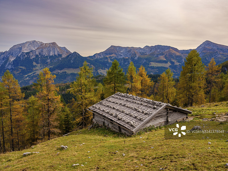 秋日落叶松前的法尔扎尔姆,背景为霍赫尔格尔山、施耐伯格山和卡尔斯贝格山,位于贝希特斯加登国家公园、国王湖畔舍瑙、贝希特斯加登地区、上巴伐利亚、巴伐利亚、德国图片素材