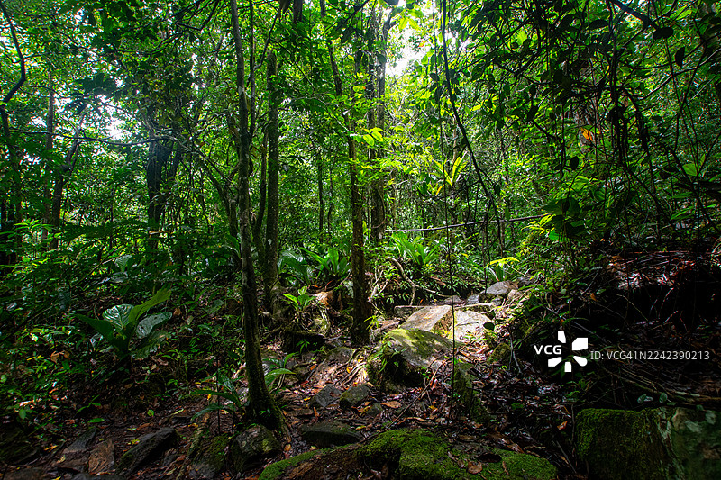 委内瑞拉卡奈玛国家公园：乘坐库里亚拉船穿越卡劳河，在热带稀树草原中前行，徒步穿越雨林抵达雄伟的特普伊山。图片素材