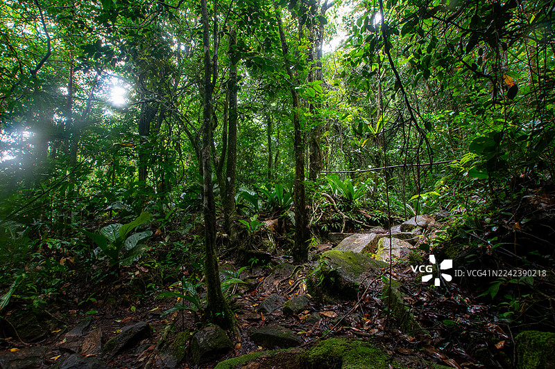 委内瑞拉卡奈玛国家公园：乘坐库里亚拉船穿越卡劳河，途经热带草原，跋涉雨林，最终抵达雄伟的特普伊山。图片素材